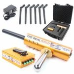 Gold Vision detector review